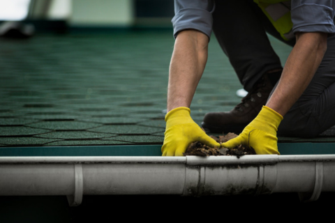 Seamless Gutters Lot Clearing